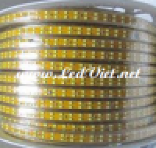 LED Dây Chíp 2750 Đôi Vàng